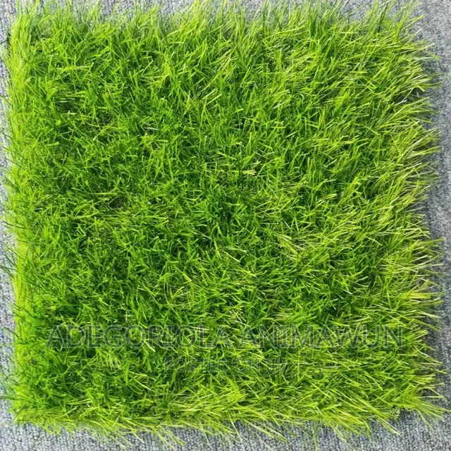 Environmental Friendly Artificial Grass(+Free Installation)