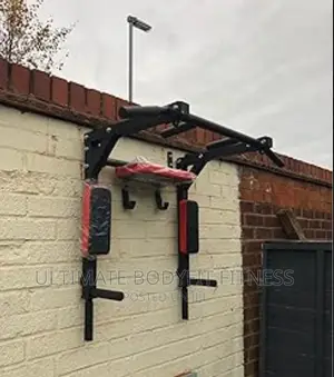 Brand New Wall Monted Pull And Push Up Bar