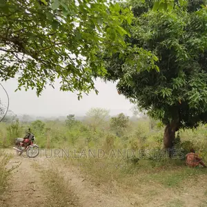 480 Acres of Land for Sale at Cheap Rate in Abekuta Redcopy