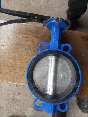 Butterfly Valve 6" Inches