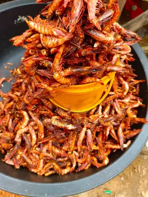 Fresh,Picked Prawns Cleaned to Perfection