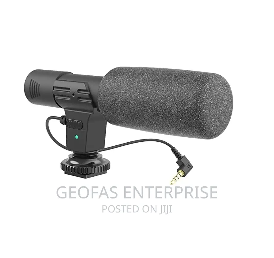 LED Vlogging Tripod Stand With Microphone