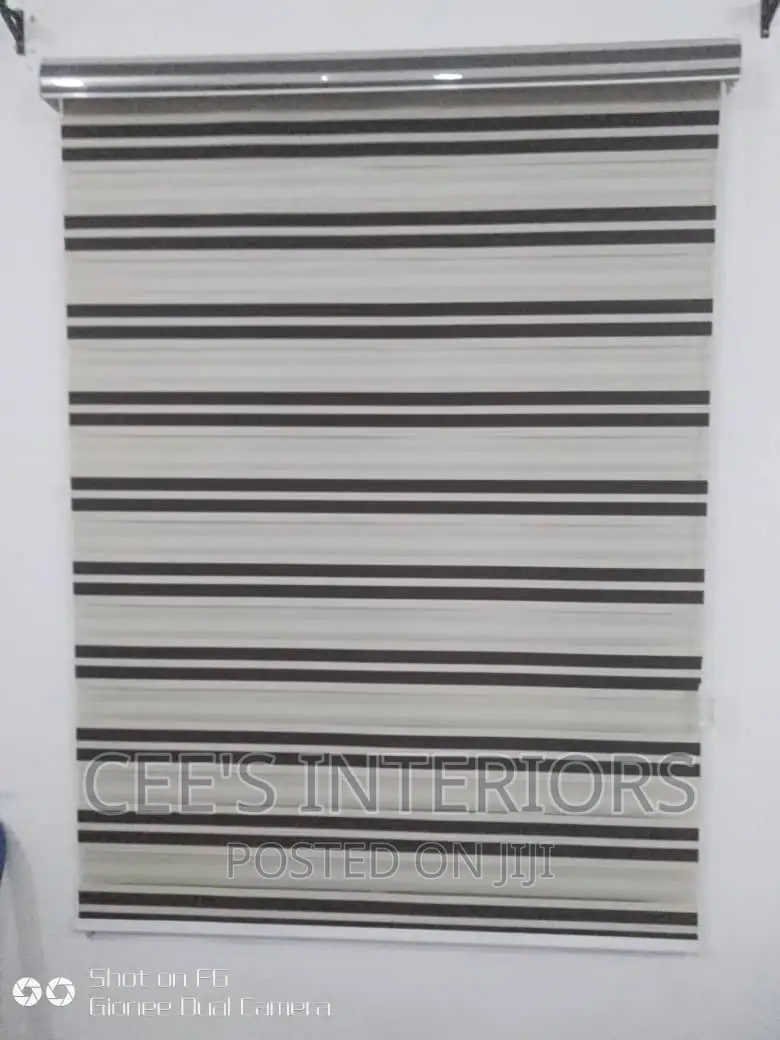 Day and Night Window Blinds.