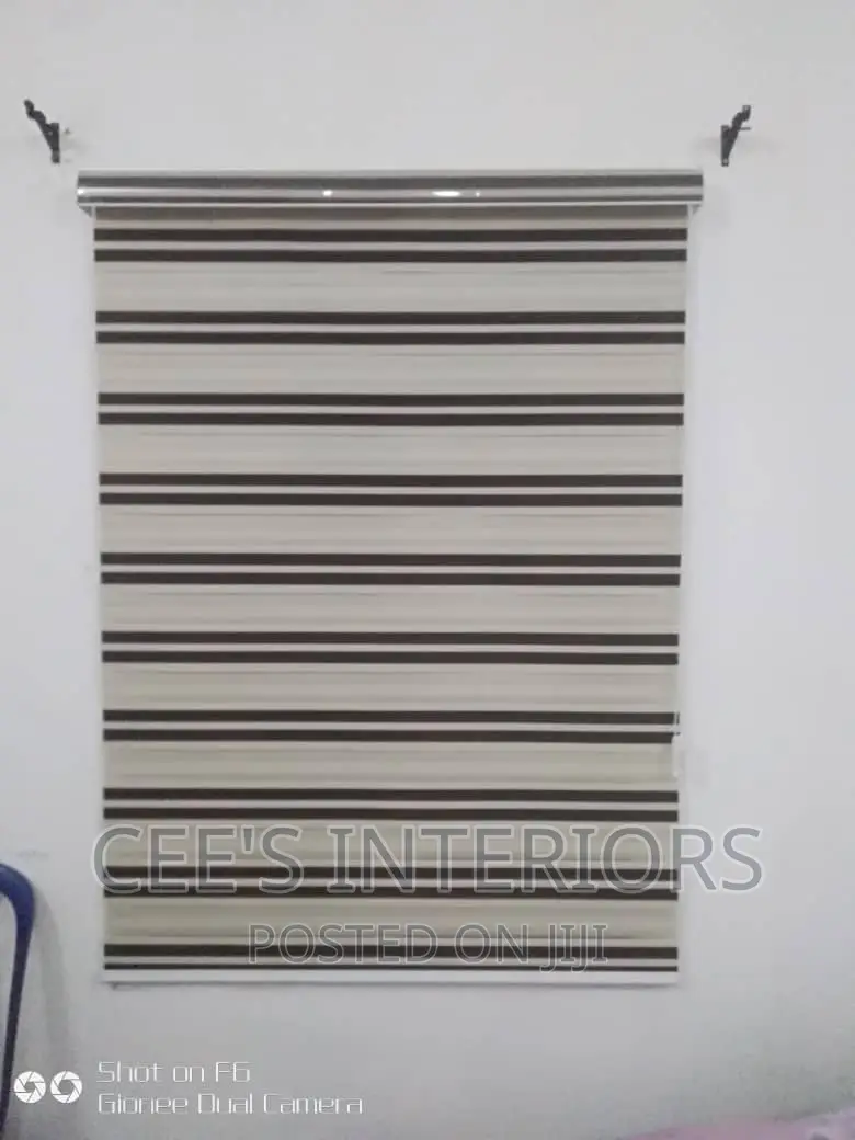 Day and Night Window Blinds