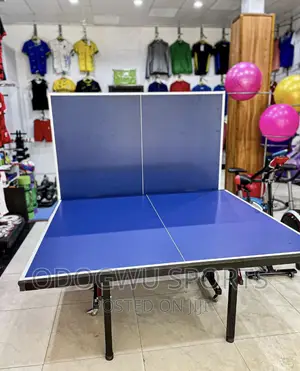 Photo - SMC Table Tennis Board S411