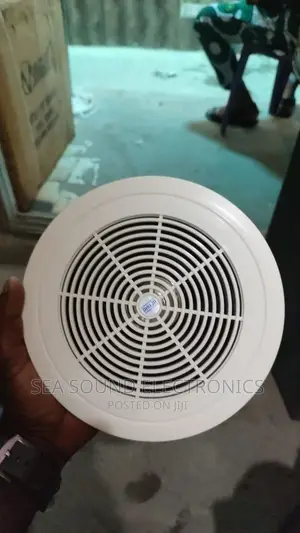 Ahuja Ceiling Speaker