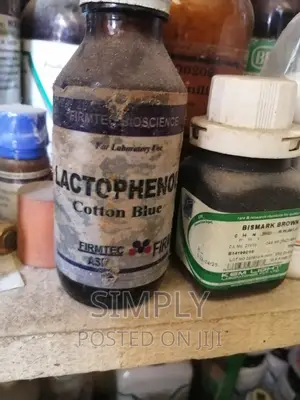LACTOPHENON Cotton Blue