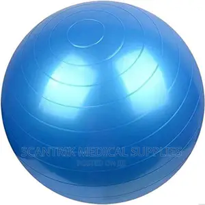 Swiss Ball Exercises