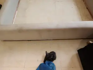 Bed Frame and Couch Cleaning Services