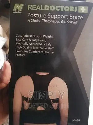 Posture Support Brace