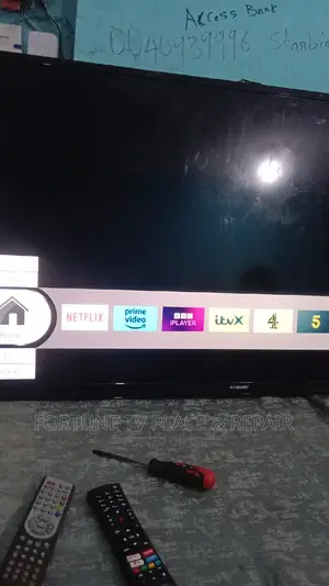 Smart Bush TV