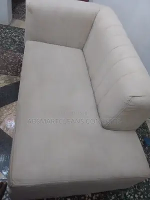 Professional Upholstery Cleaning Services