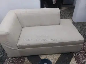 Professional Upholstery Cleaning Services