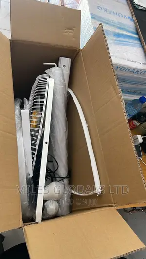 Professional Solar Fan