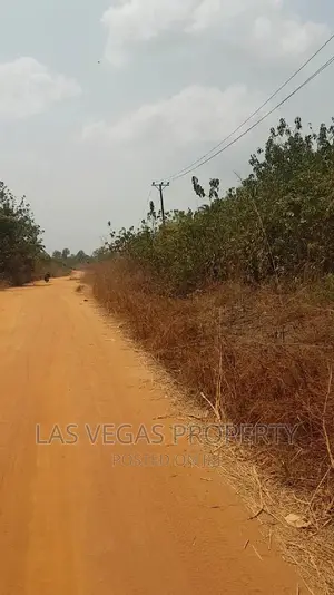 7plots 9plots of Land at Eziobodo by Olokwu Road for Sale