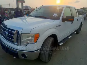 Ford F-150 2011 White