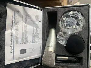 Professional Studio Microphone