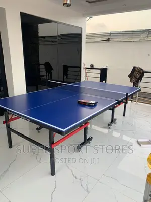 Indoor Table Tennis