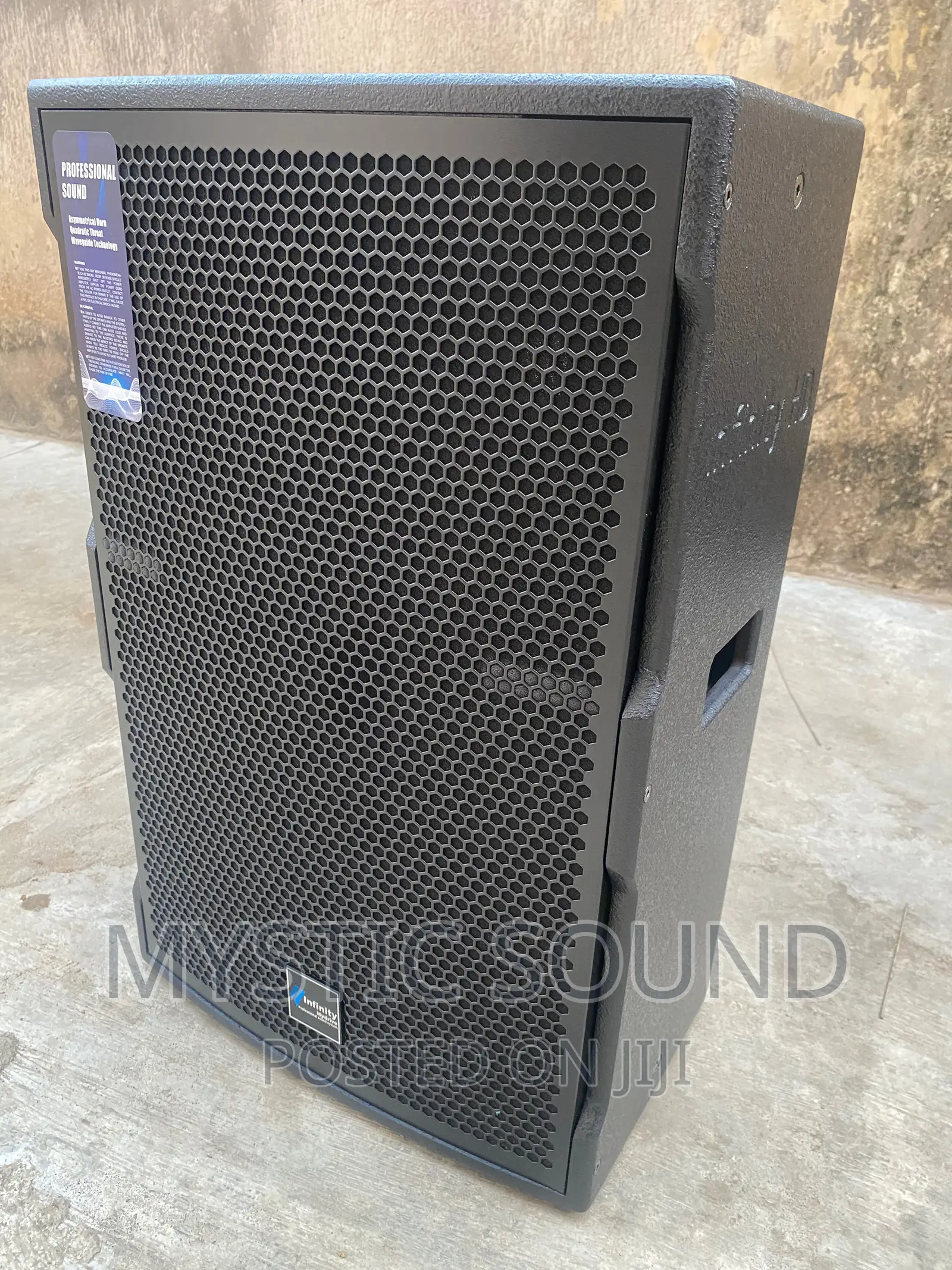 Infinity HSE 15inches Single Speaker
