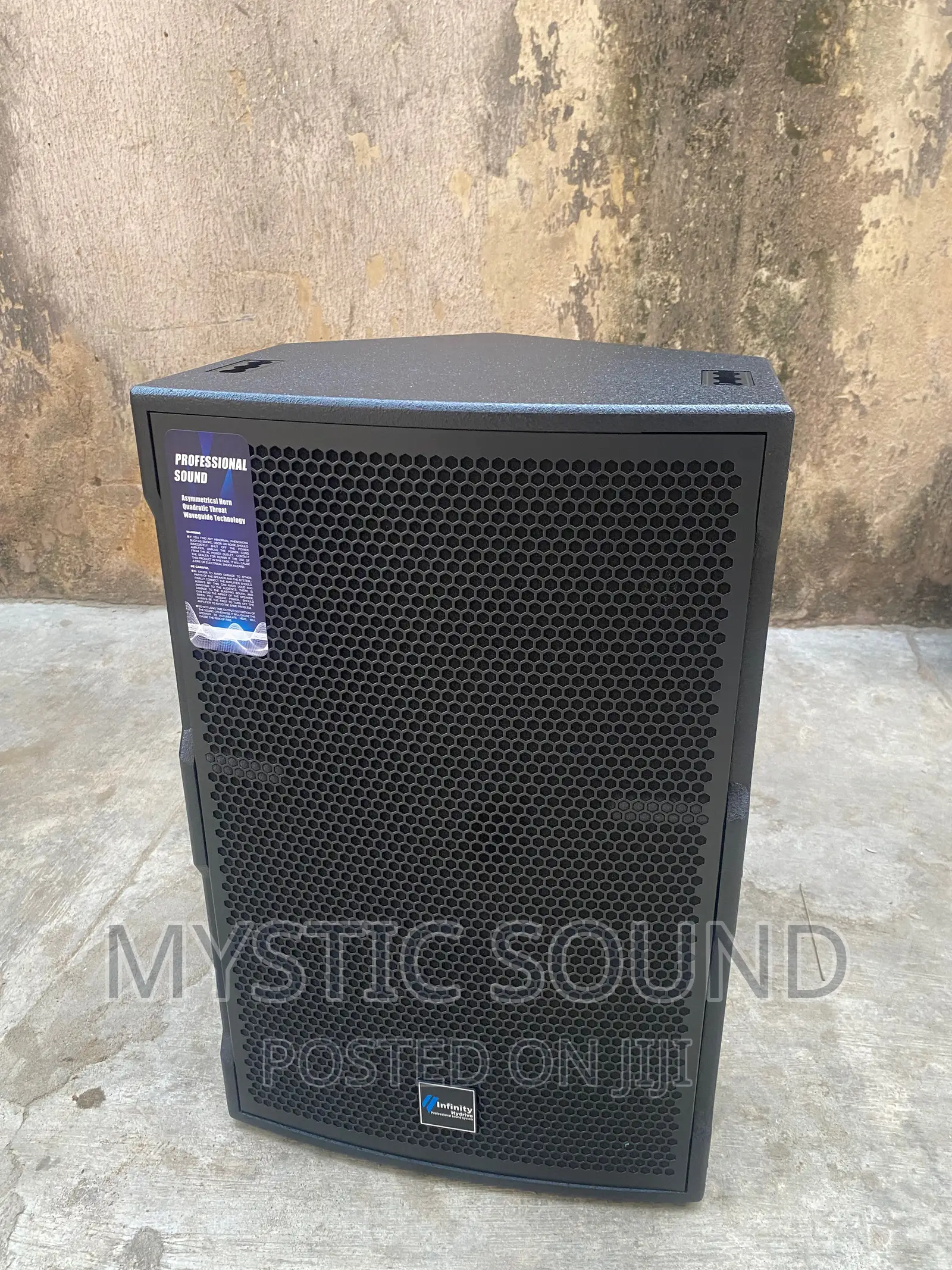 Infinity HSE 15inches Single Speaker