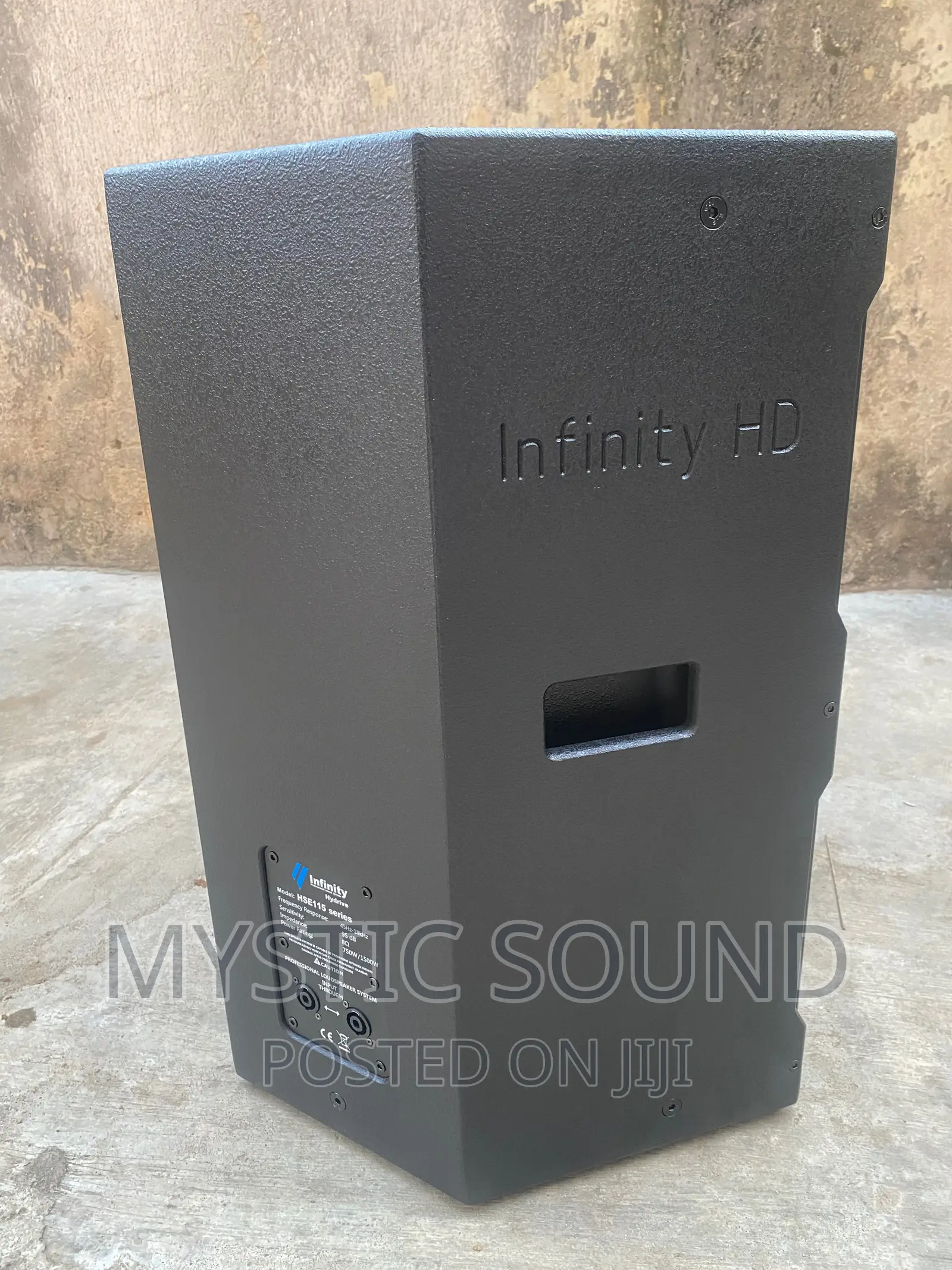 Infinity HSE 15inches Single Speaker