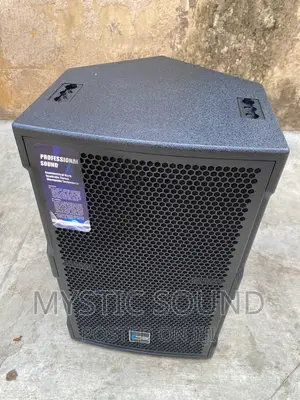 Infinity Single Speaker 12inches