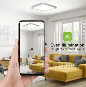 12inch LED Ceiling Light