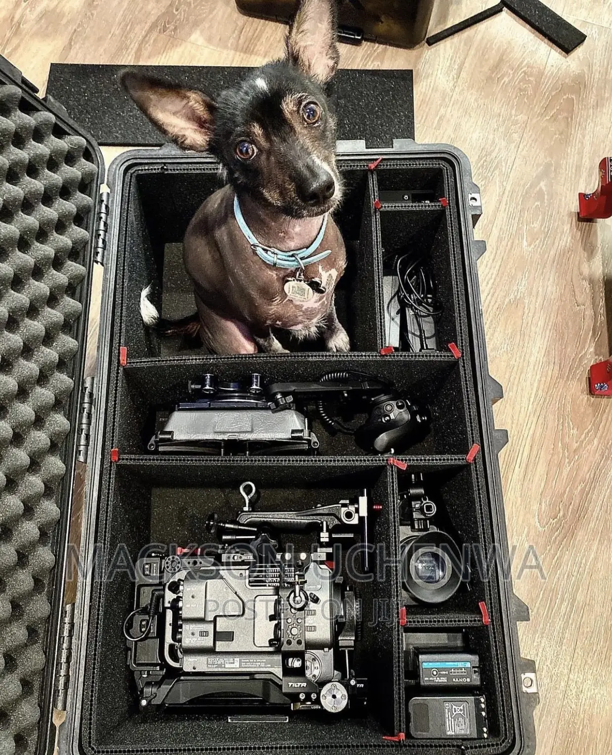 Mobile Studio Services Available for (Anywhere)