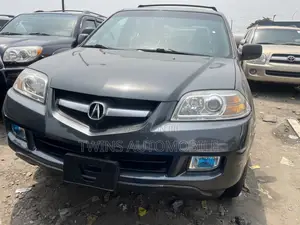 Acura MDX 2006 Gray
