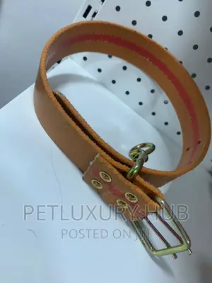 Tyre Mode Collar