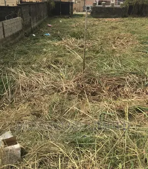 2plots of Dry Land at Eock Stone Villa Badore