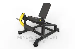 Leg Extensions