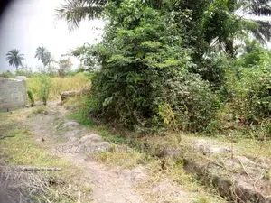 For Sale : Back of Dunamis Church,Obirikwere/Sars Rd