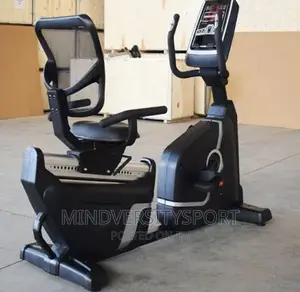 Commercial Recumbent Bike