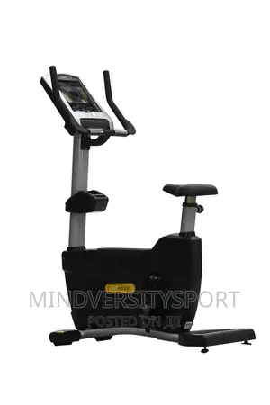 Commercial Recumbent Bike