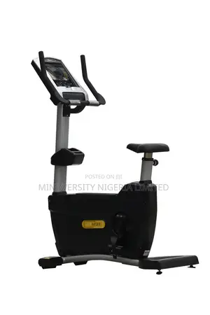 Commercial Recumbent Bike
