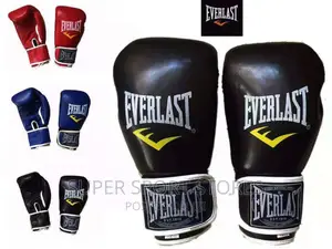 New Everlast Boxing Gloves