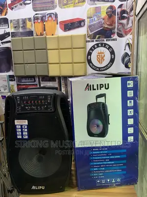 8000w 15” PA System With 2mic and Bluetooth/Usb