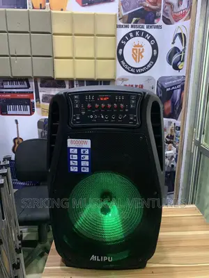 8000w 15” PA System With 2mic and Bluetooth/Usb