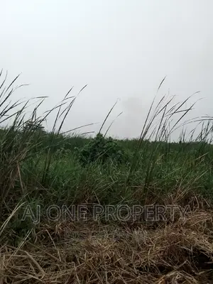 Sale One Acres of Ipakodo Rd Ebute Ikorodu Lagos