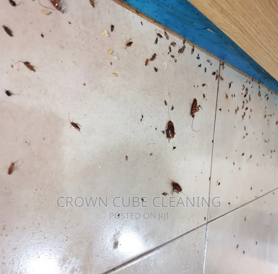 Fumigation Service _ Pest Control and Fumigation