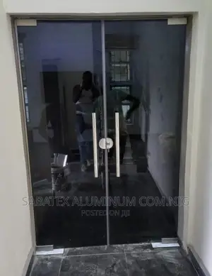 Frameless Door