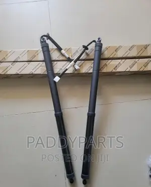 Lexus NX200T Rear Booth Shock