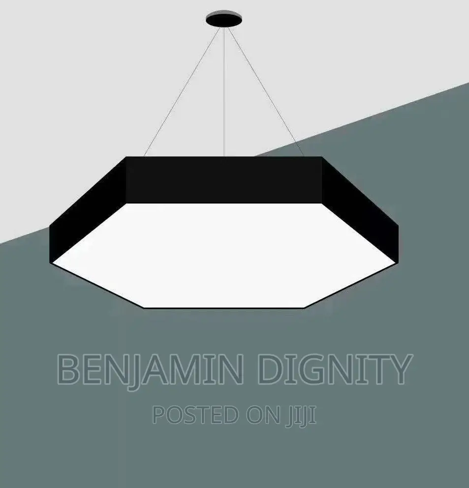 Led Linear Drop Light