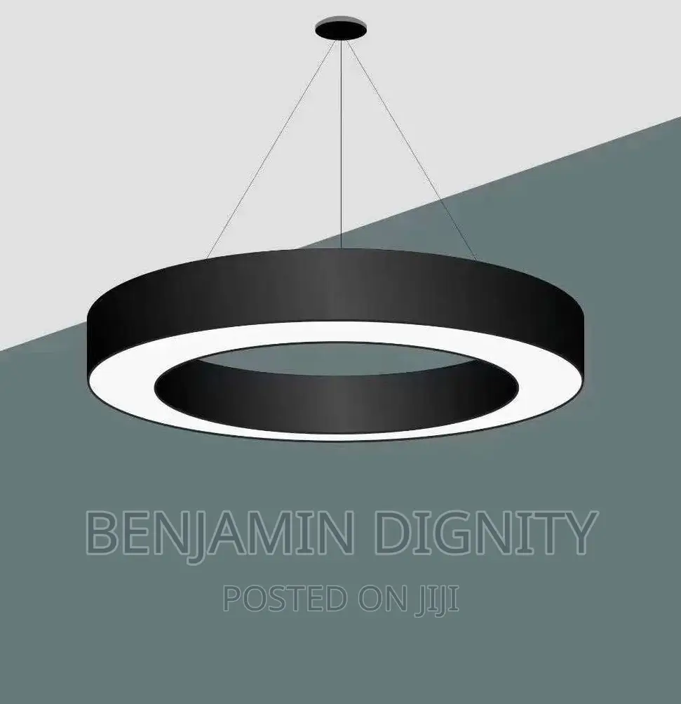 Led Linear Drop Light