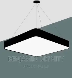 Led Linear Drop Light