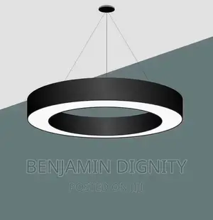 Led Linear Drop Light
