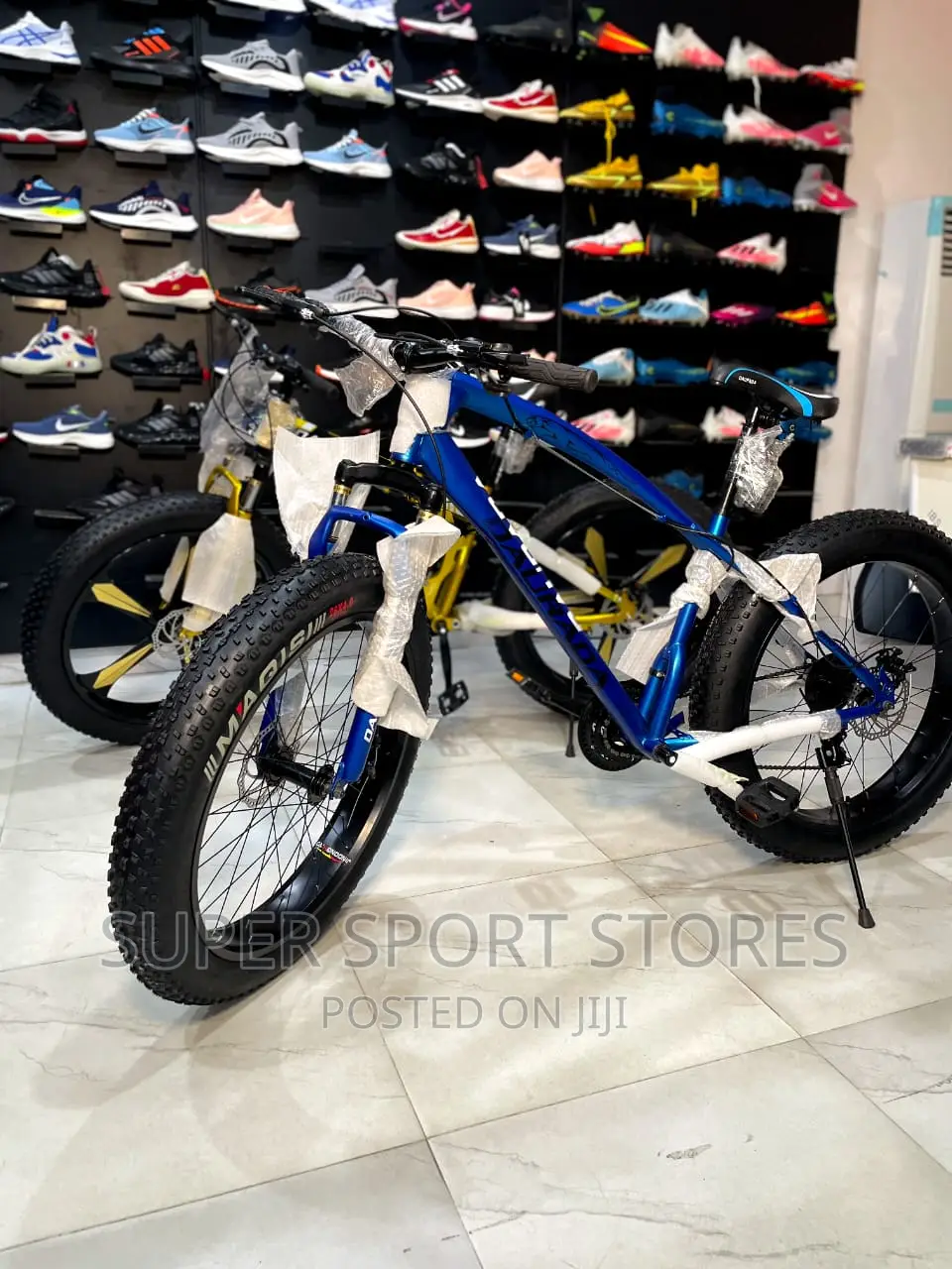Fat Tyre Exercise Bike