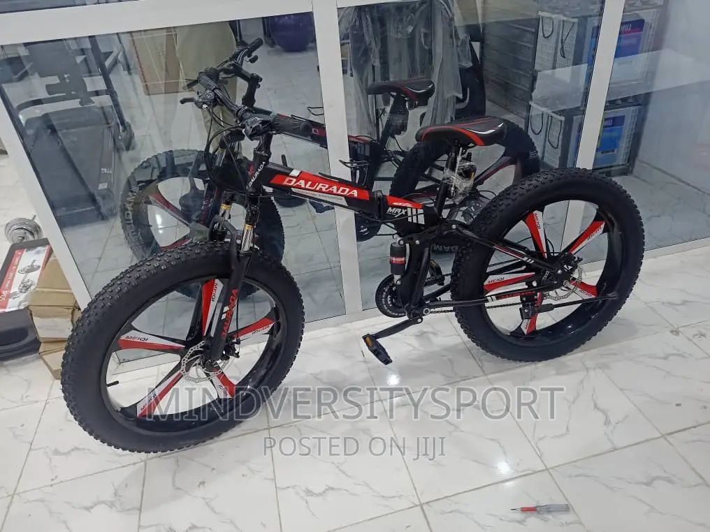 Fat Tyre Giant Bicycle