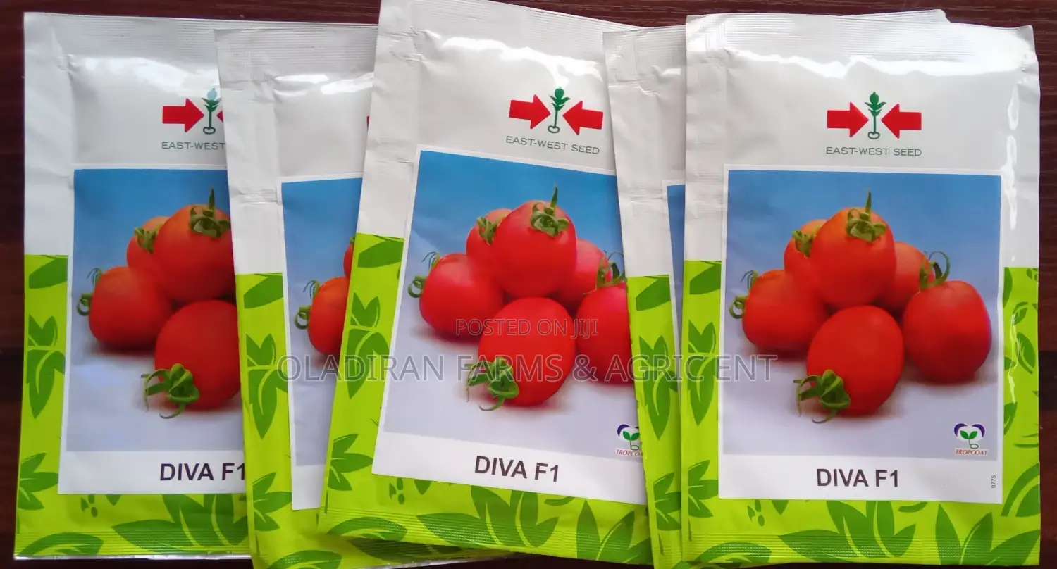 Diva F1 Tomato